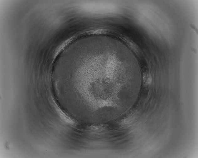 X0000097760725200803141722