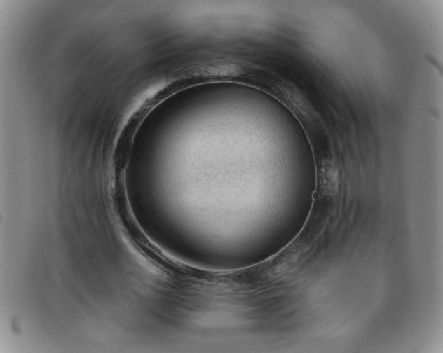 X0000097760726200803141722