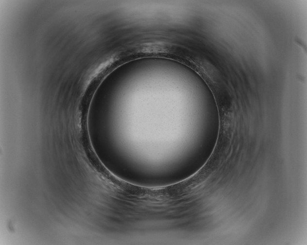 X0000097760727200803141722