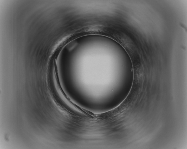 X0000097760728200803141722