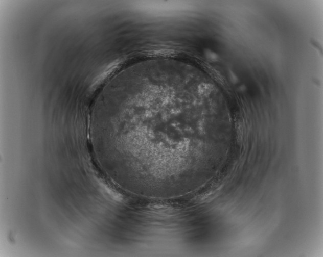 X0000097760729200803141722