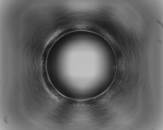 X0000097760730200803141722