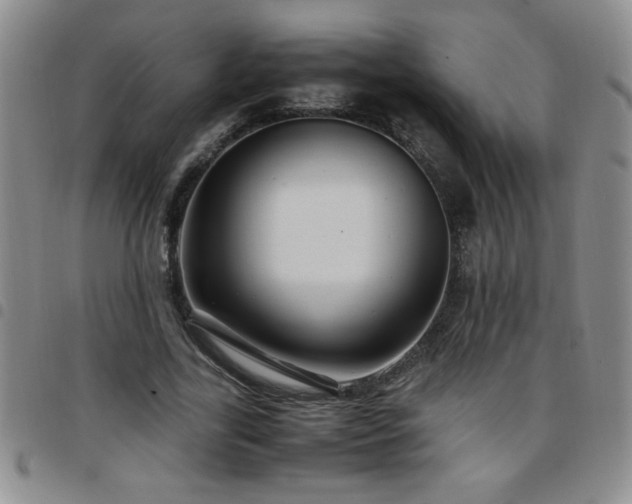 X0000097760731200803141722