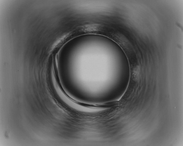 X0000097760732200803141722