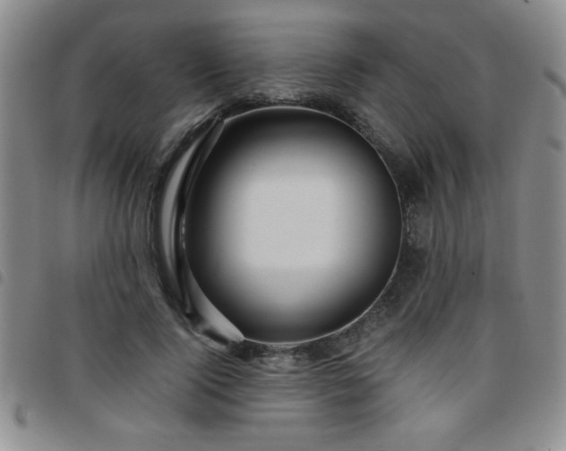 X0000097760740200803141723