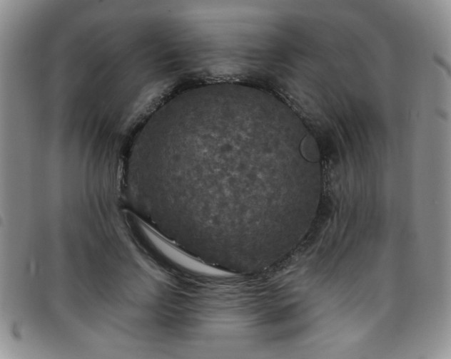 X0000097760742200803141723