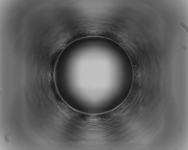 X0000097760746200803141723