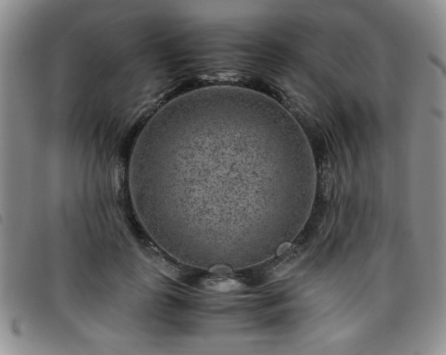 X0000097760747200803141723