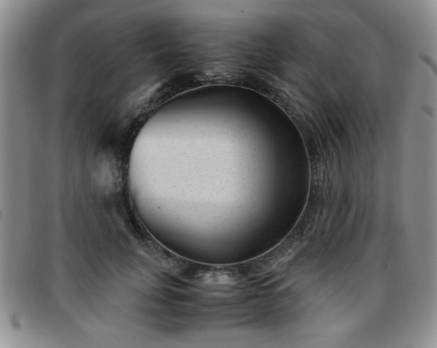 X0000097760751200803141723