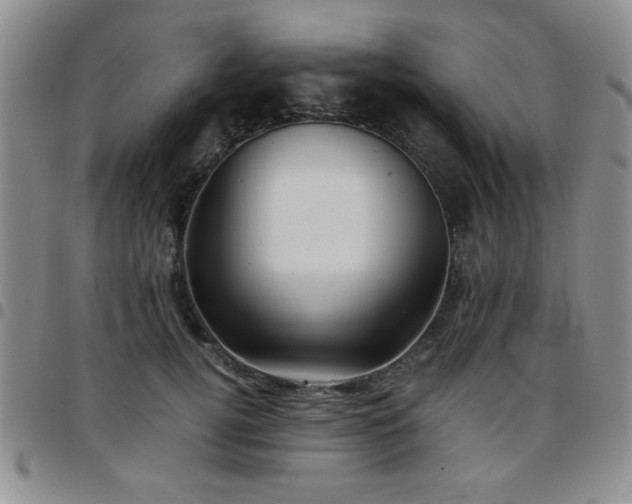 X0000097760752200803141723