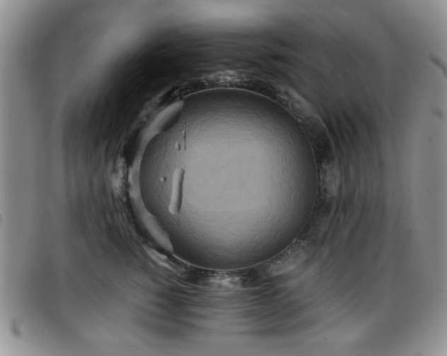 X0000097760760200803141723