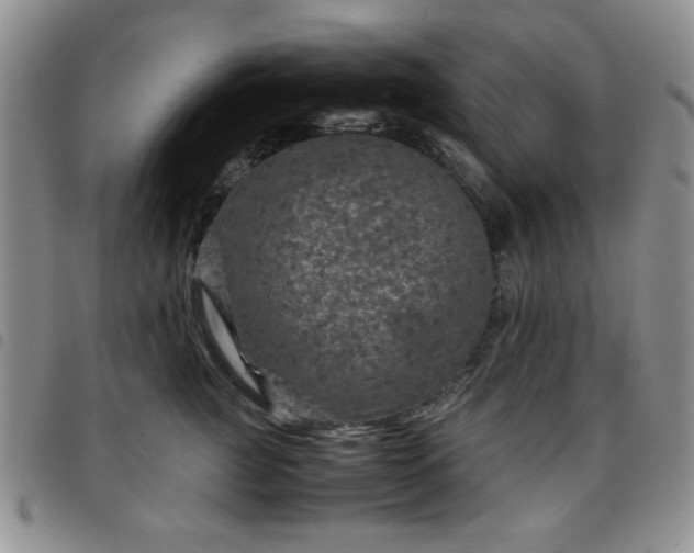 X0000097760761200803141723