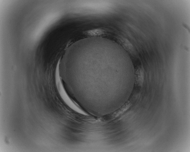 X0000097760762200803141723