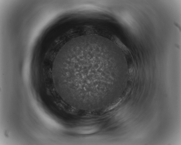 X0000097760765200803141723