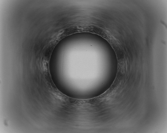 X0000097760770200803141722