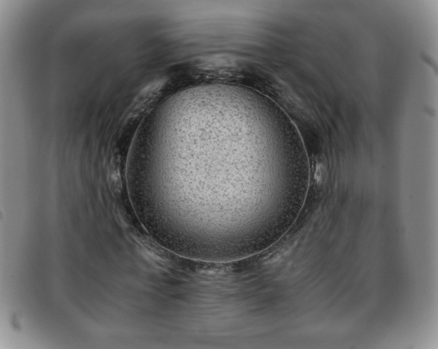 X0000097760771200803141722