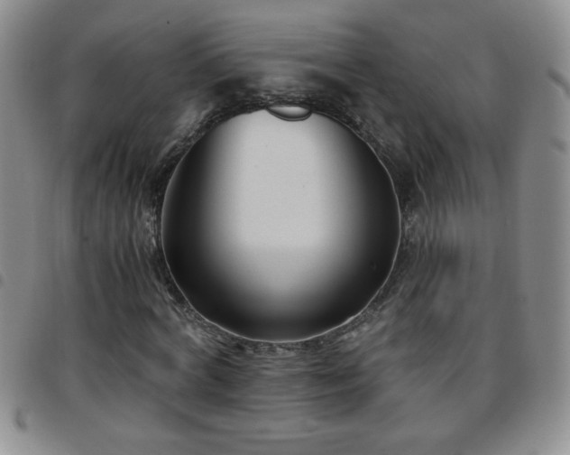 X0000097760772200803141722