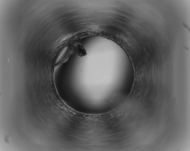 X0000097760773200803141722