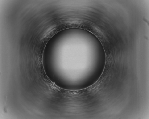 X0000097760774200803141722