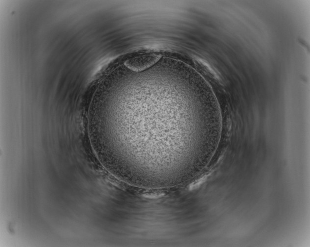 X0000097760776200803141722