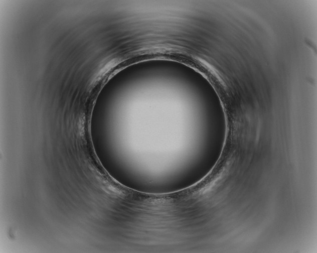 X0000097760778200803141722