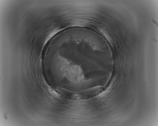 X0000097760779200803141722