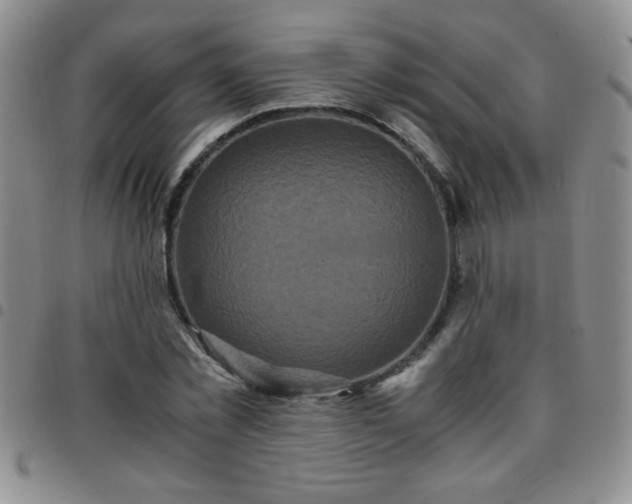 X0000097760781200803141722