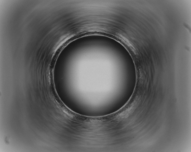 X0000097760782200803141722