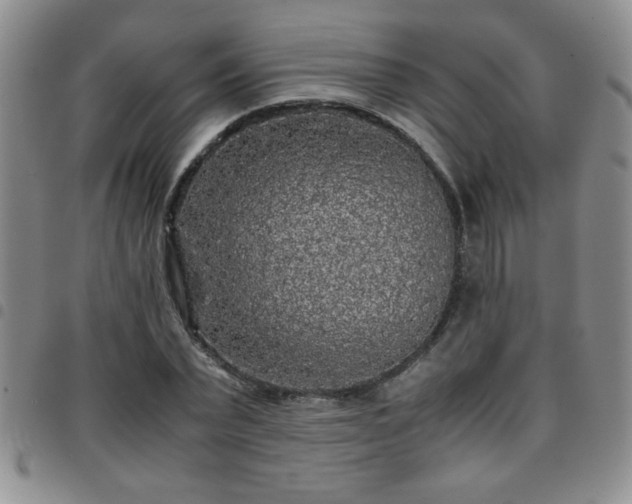 X0000097760783200803141722