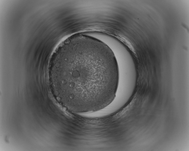 X0000097760784200803141722