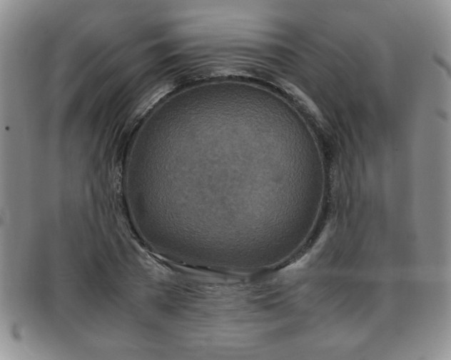 X0000097760785200803141722