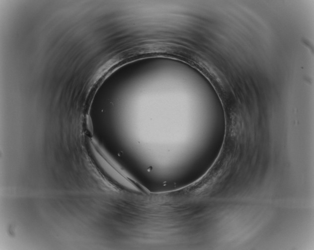 X0000097760786200803141722