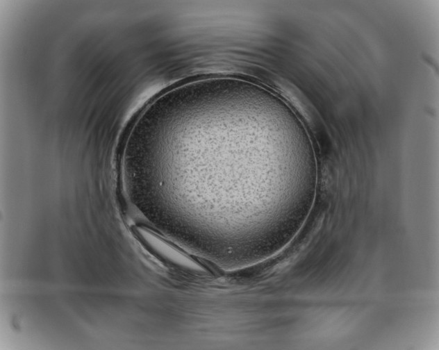 X0000097760787200803141722