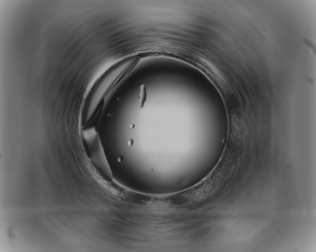 X0000097760788200803141722