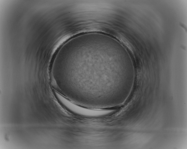 X0000097760789200803141722