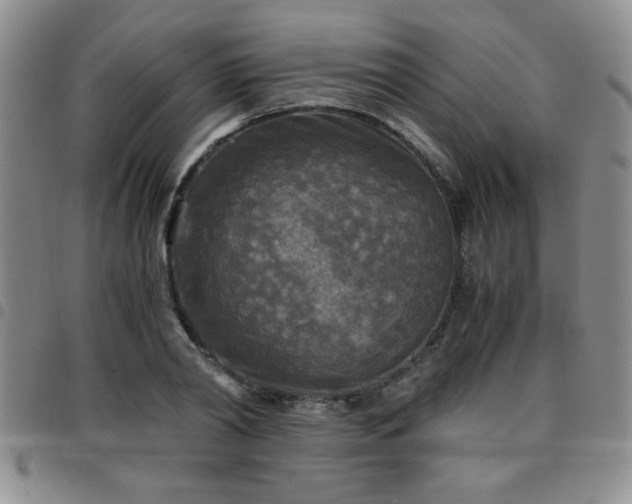 X0000097760790200803141722