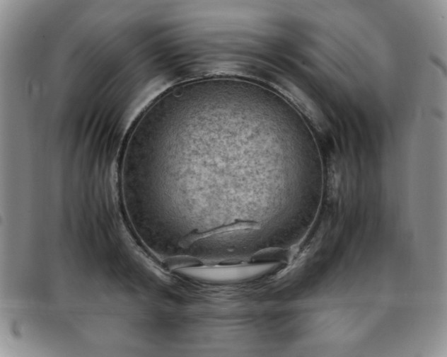 X0000097760798200803141722