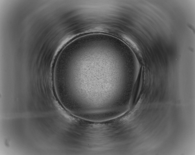 X0000097760800200803141722