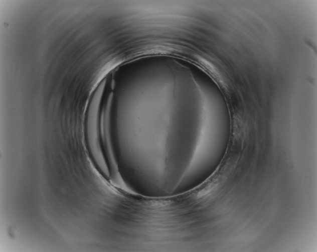 X0000097760802200803141722