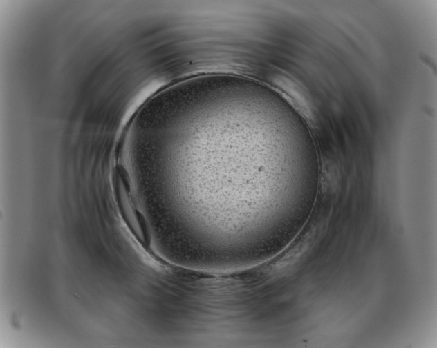 X0000097760804200803141722