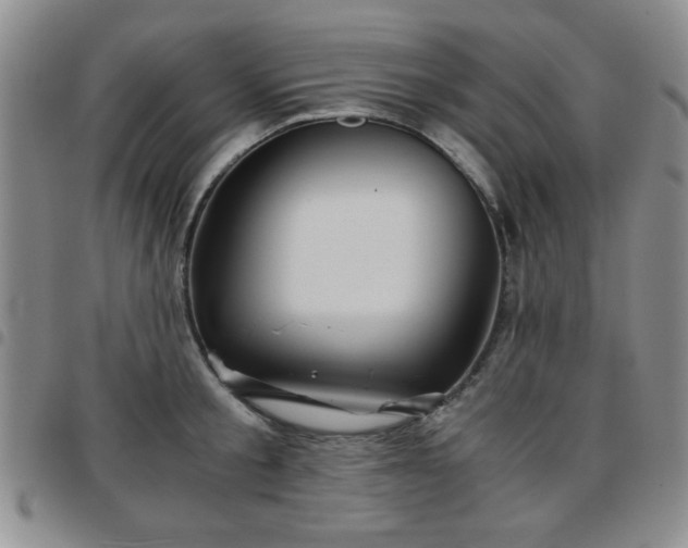 X0000097760805200803141722