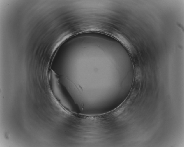 X0000097760806200803141722