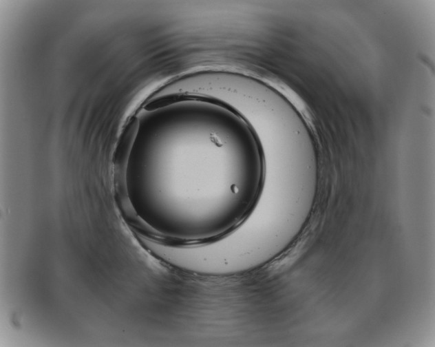 X0000097760807200803141722