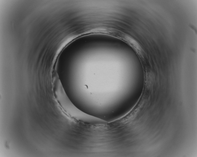 X0000097760808200803141721