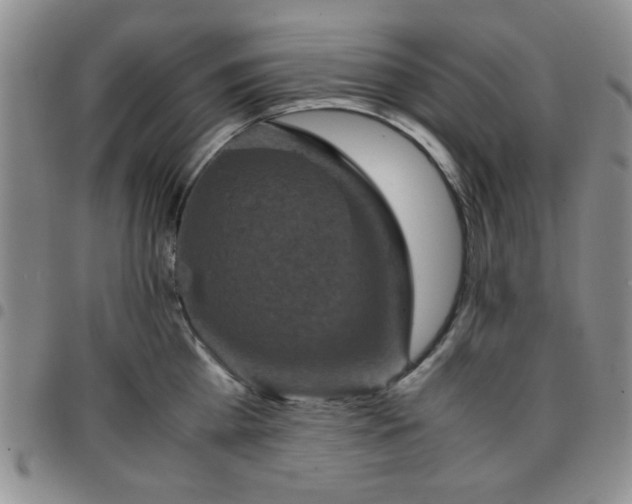 X0000097760809200803141721