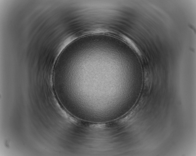 X0000097760810200803141721