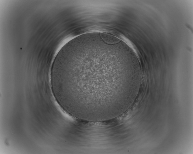 X0000097760811200803141721