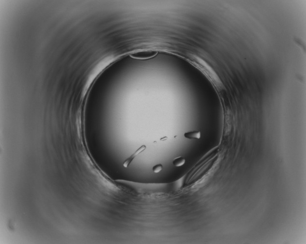 X0000097760812200803141721