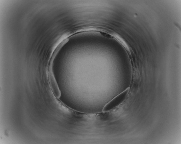 X0000097760813200803141721