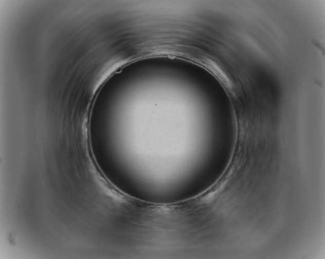 X0000097760814200803141721